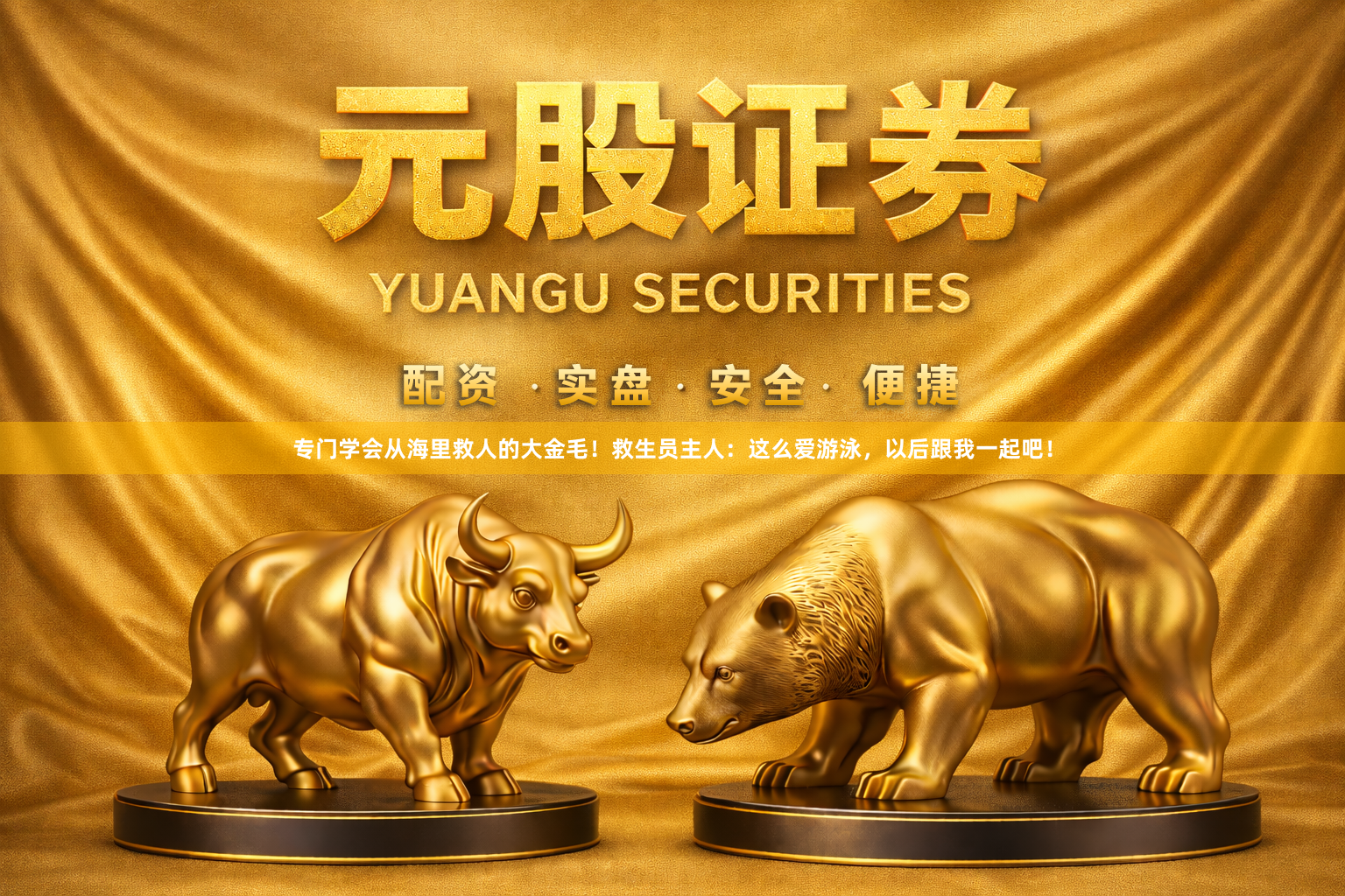专门学会从海里救人的大金毛!救生员主人:这么爱游泳,以后跟我一起吧!