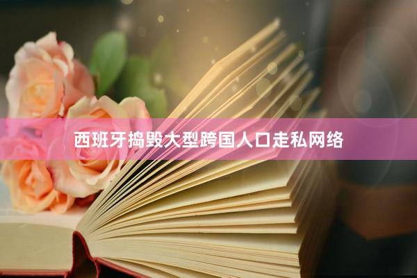 西班牙捣毁大型跨国人口走私网络