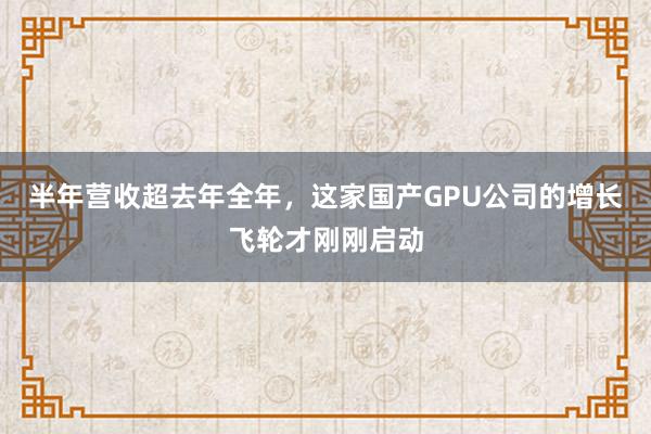 半年营收超去年全年，这家国产GPU公司的增长飞轮才刚刚启动