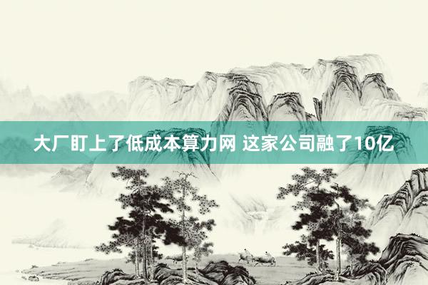 大厂盯上了低成本算力网 这家公司融了10亿