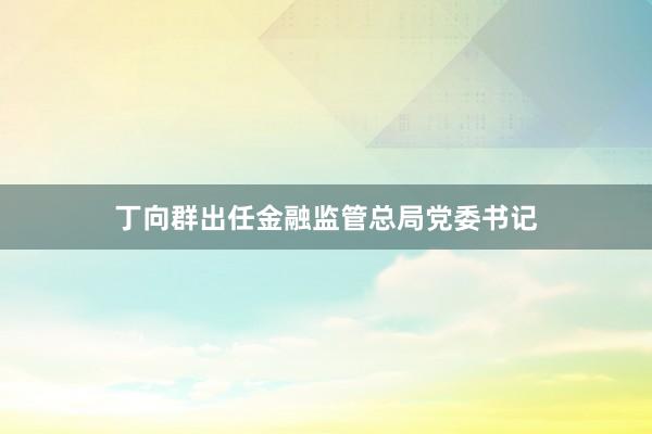 丁向群出任金融监管总局党委书记