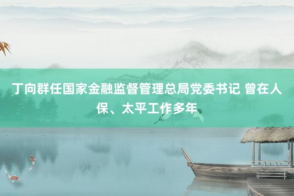 丁向群任国家金融监督管理总局党委书记 曾在人保、太平工作多年