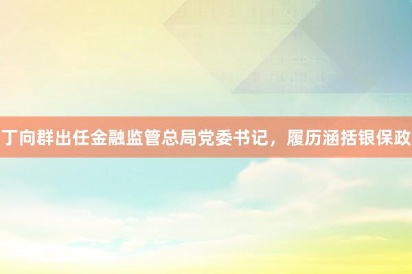 丁向群出任金融监管总局党委书记,履历涵括银保政