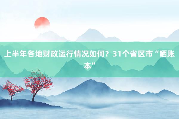 上半年各地财政运行情况如何？31个省区市“晒账本”