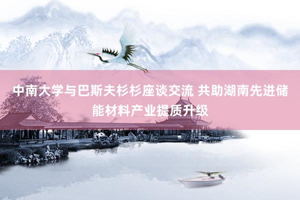 中南大学与巴斯夫杉杉座谈交流 共助湖南先进储能材料产业提质升级