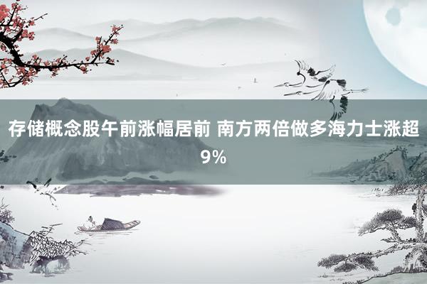 存储概念股午前涨幅居前 南方两倍做多海力士涨超9%