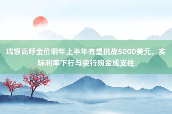 瑞银高呼金价明年上半年有望挑战5000美元，实际利率下行与央行购金成支柱