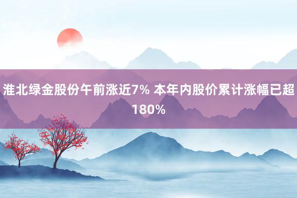 淮北绿金股份午前涨近7% 本年内股价累计涨幅已超180%