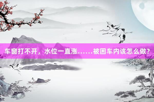 车窗打不开，水位一直涨……被困车内该怎么做？