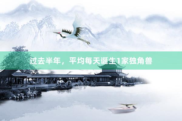 过去半年,平均每天诞生1家独角兽