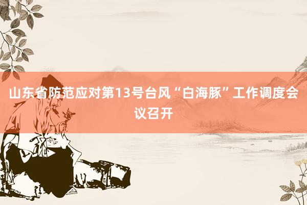 山东省防范应对第13号台风“白海豚”工作调度会议召开