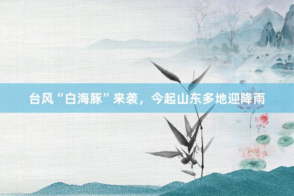 台风“白海豚”来袭，今起山东多地迎降雨