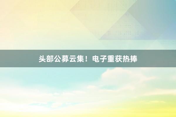 头部公募云集!电子重获热捧