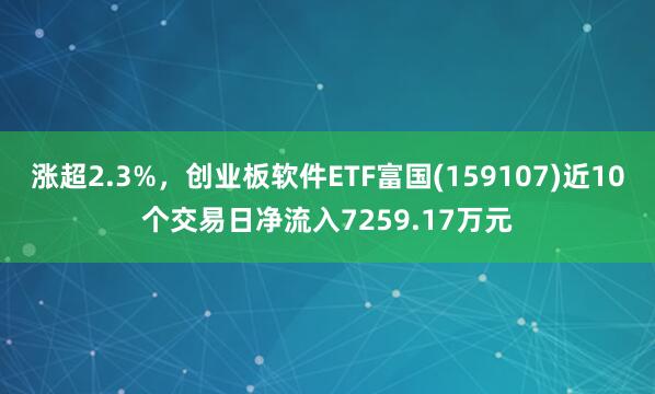 涨超2.3%，创业板软件ETF富国(159107)近10个交易日净流入7259.17万元
