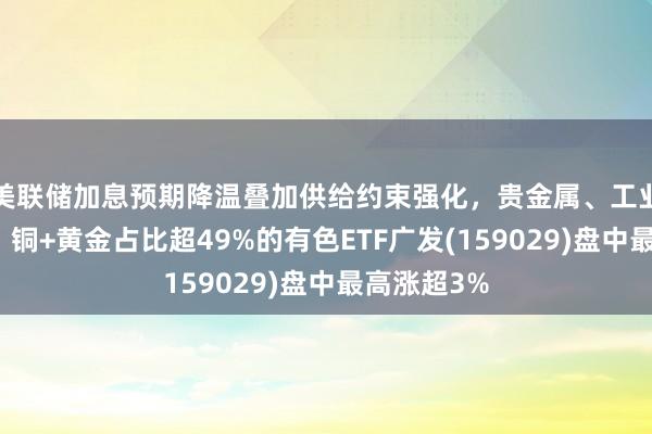 美联储加息预期降温叠加供给约束强化，贵金属、工业金属走强，铜+黄金占比超49%的有色ETF广发(159029)盘中最高涨超3%