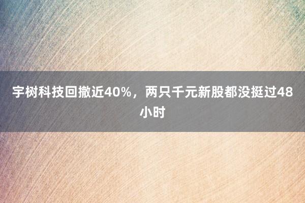 宇树科技回撤近40%，两只千元新股都没挺过48小时